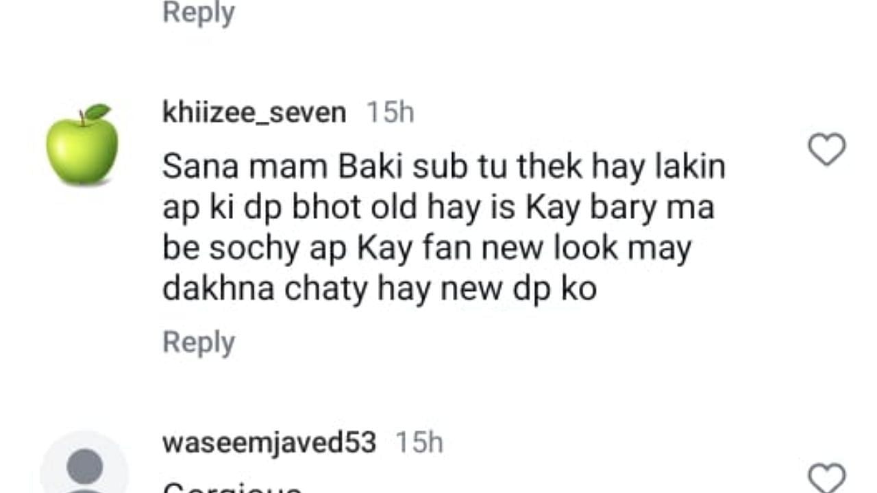 सना जावेद की पोस्ट पर फैंस ने किए कमेंट (photo credit: instagram/sanajaved.official)